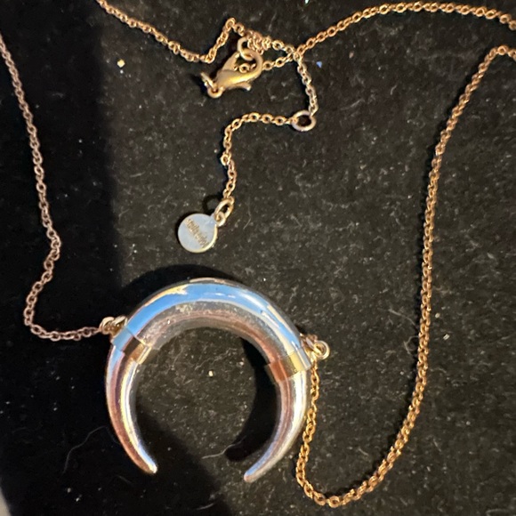 Stella dot silver horn necklace - Main Image